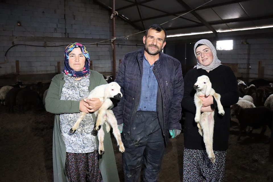 Erzincanlı anne ile kızı, koyun sayılarını 100'den 900'e çıkarttı - 2