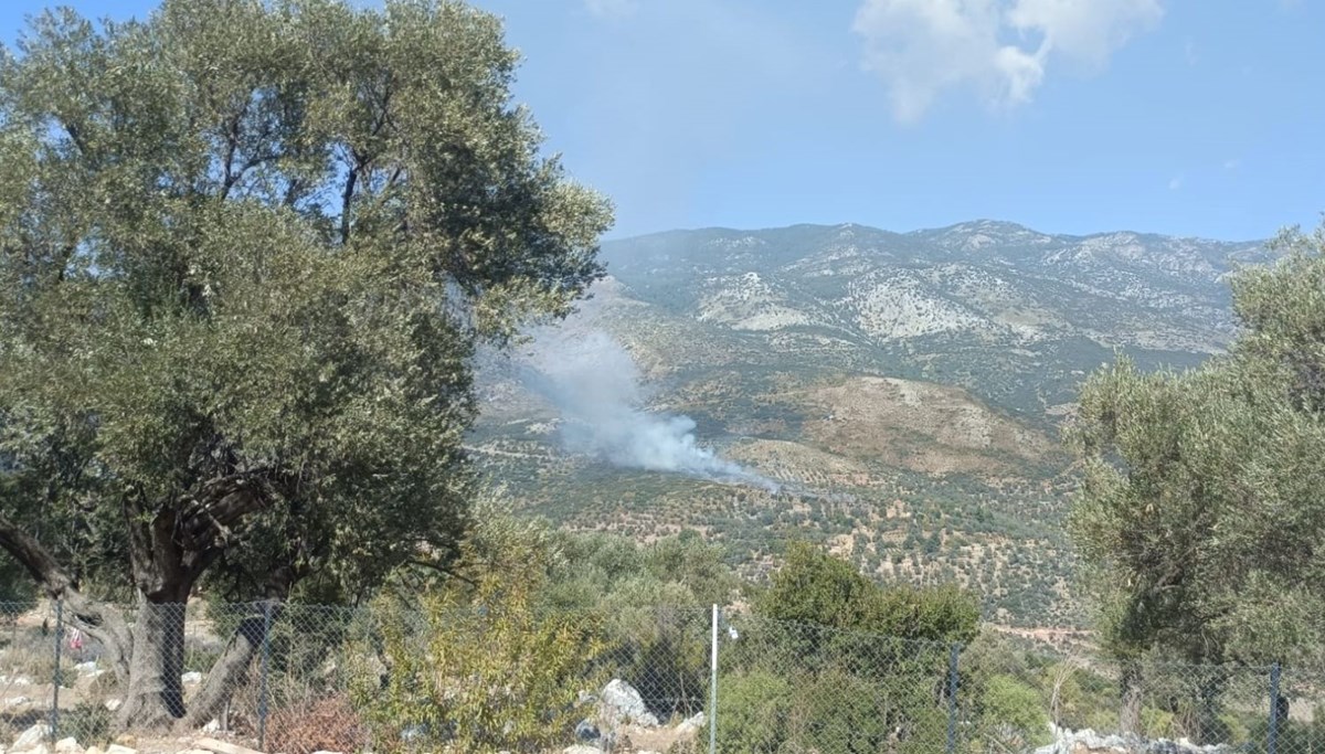 Muğla'da çıkan yangında 2 hektar makilik ve tarım alanı zarar gördü