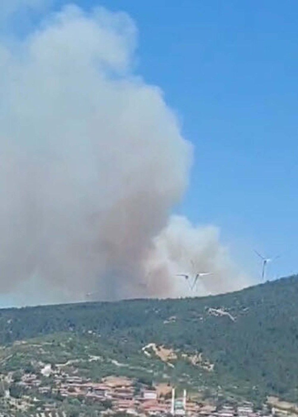 Çeşme'deki orman yangınında 3 kişi hayatını kaybetti - 6