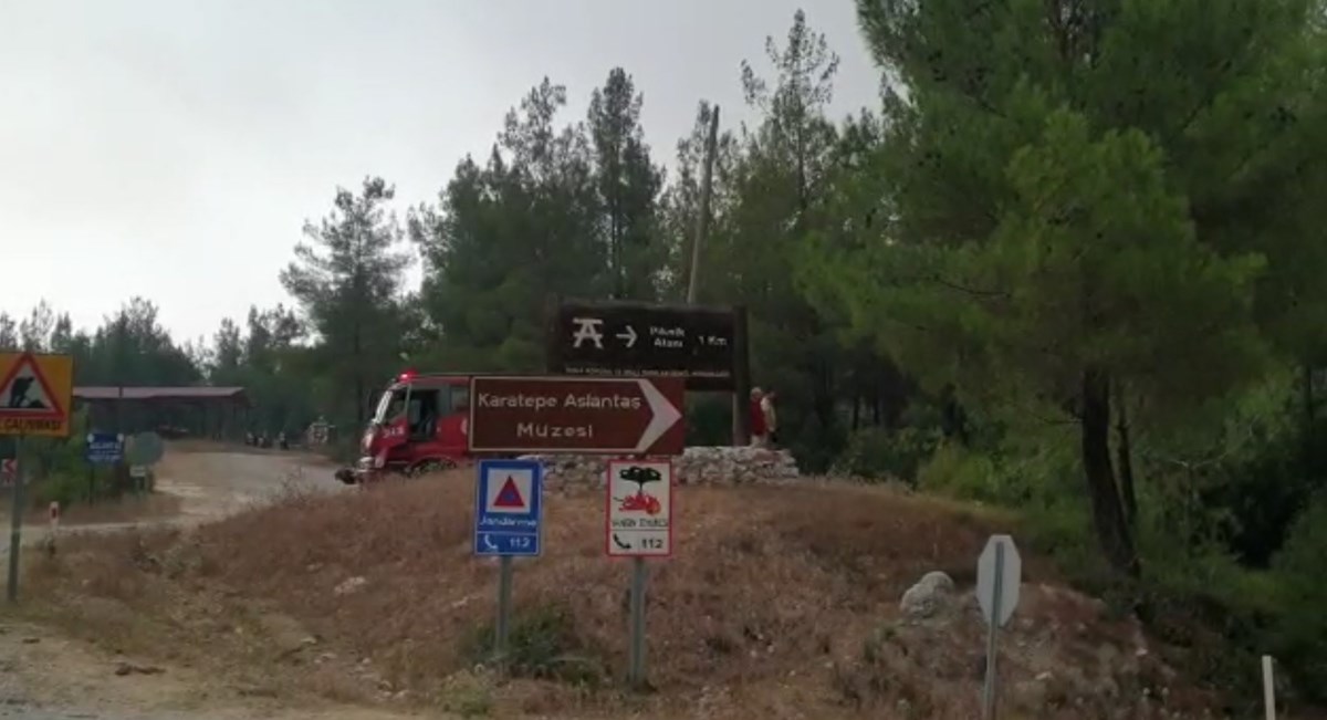 Orman Bölge Müdürlüğü yetkilileri, yangının söndürülmesinde önemli aşama kaydettiklerini, yanan alanı çevrelediklerini ancak rüzgarın hala