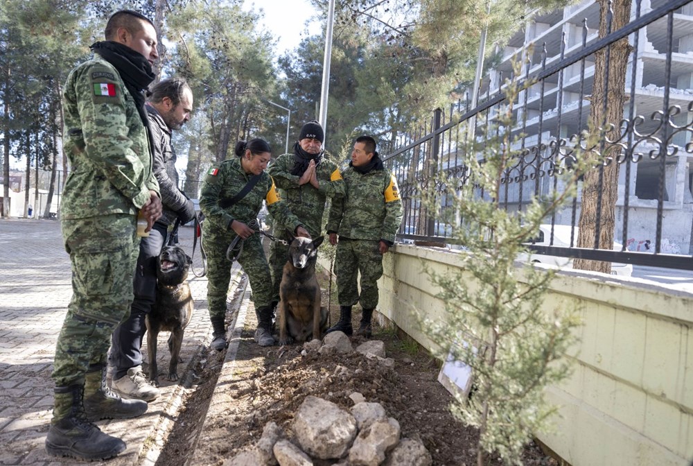 Meksika'nın arama kurtarma köpeği Proteo'ya Adıyaman'da hüzünlü veda: 3 kişinin enkazdan çıkmasını sağladı - 10