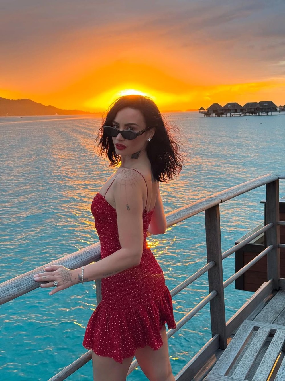 Ünlü şarkıcı Demi Lovato'dan balayı pozları - 2