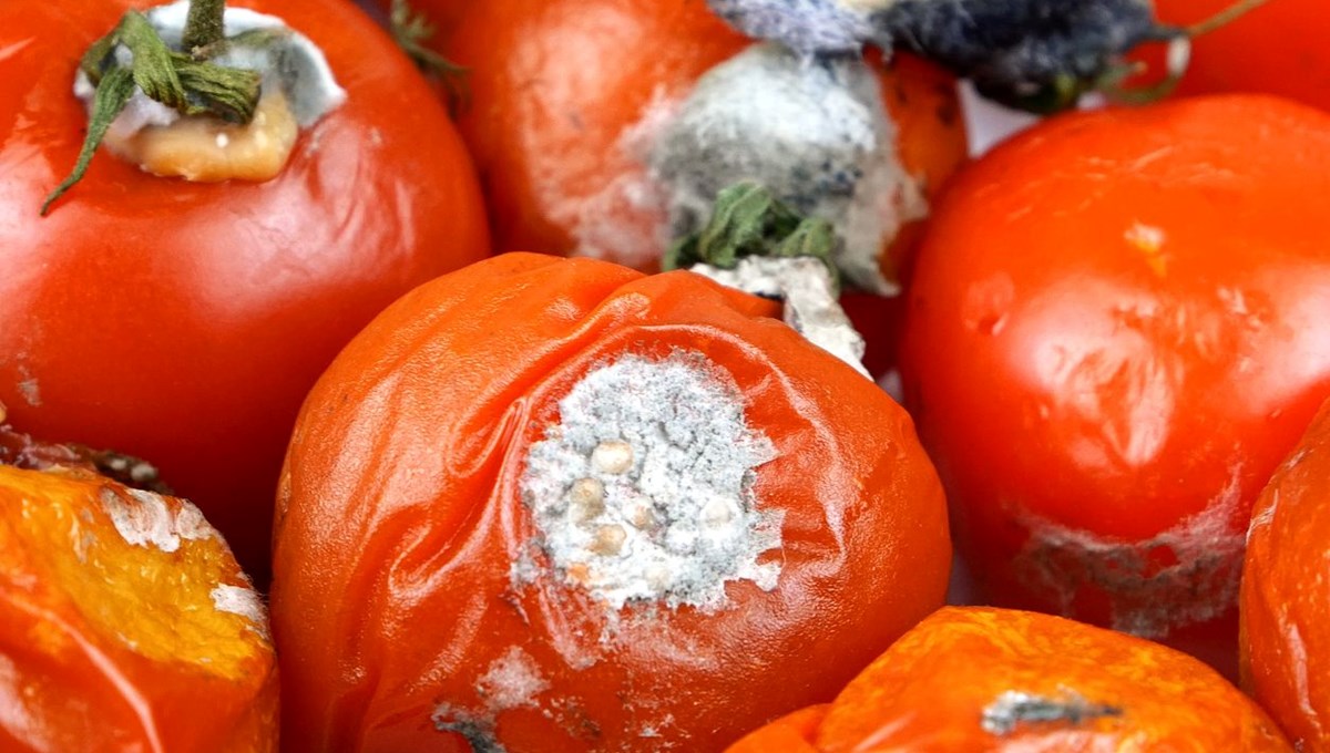 Domatesin çürümesini önleyen yöntem: Birkaç damla dökmek yetiyor, domatesler ilk günkü gibi taze kalıyor