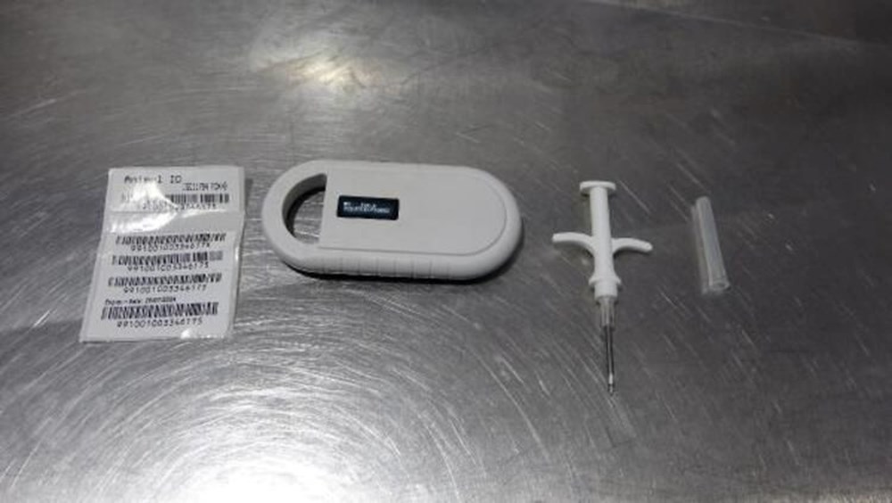 Evcil hayvanı olanlar dikkat! Bu tarihe kadar yaptırmayanlar ceza ödeyecek (2022 evcil hayvan çip taktırma uygulaması) - 4