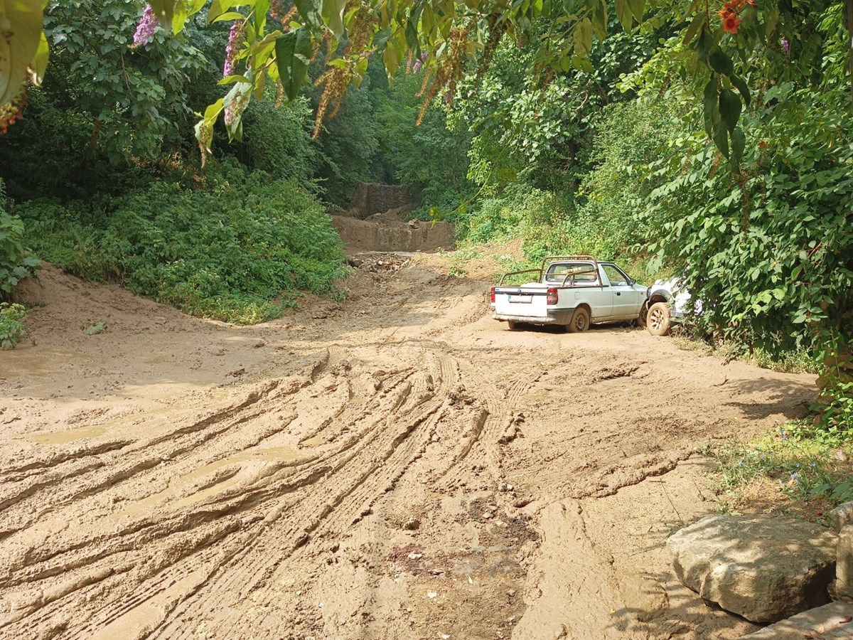 PLT_cHDUmkirg6GvR9x4Lg.jpg