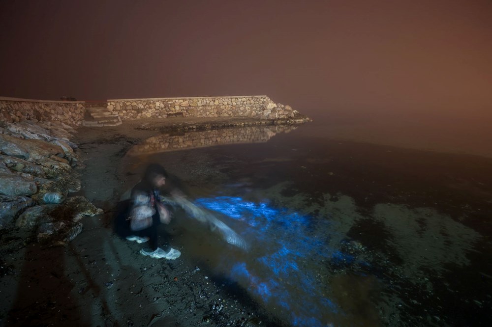 Bursa kıyılarında plankton patlaması: Deniz suyu renk değiştirdi - 3