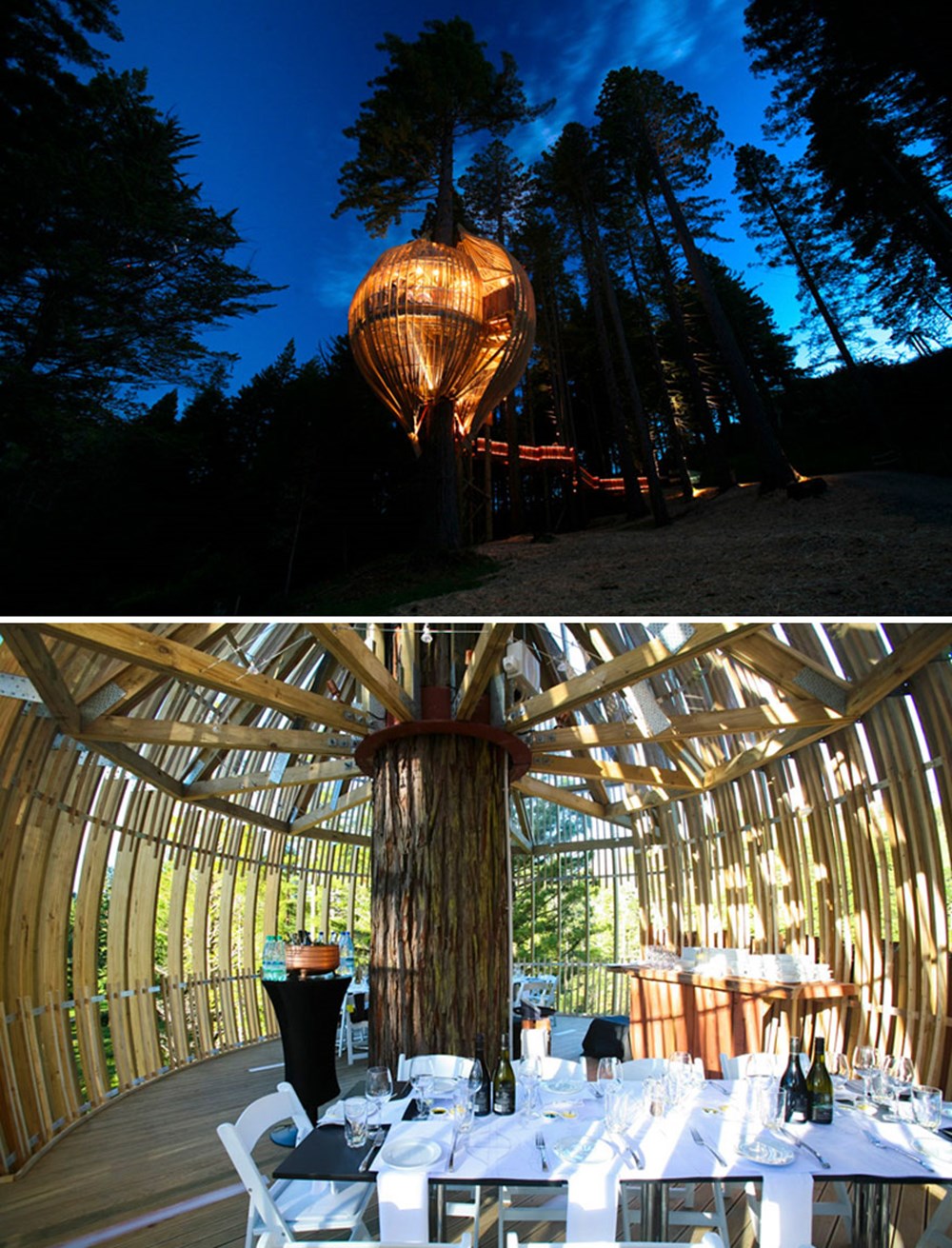 Кафе на дереве. Yellow Treehouse Restaurant новая Зеландия. Ресторан на дереве в новой Зеландии. Treehouse ресторан меню новая Зеландия. Необычные кафе.