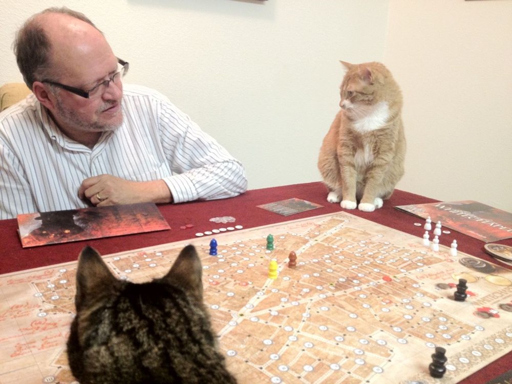 Kalp Krizine Yol Acan 9 Neden Saglik Haberleri Ntv