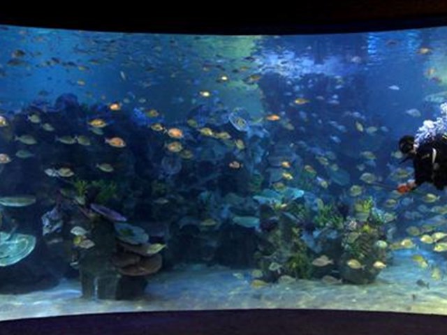 turkuazoo bayrampasa da magazin