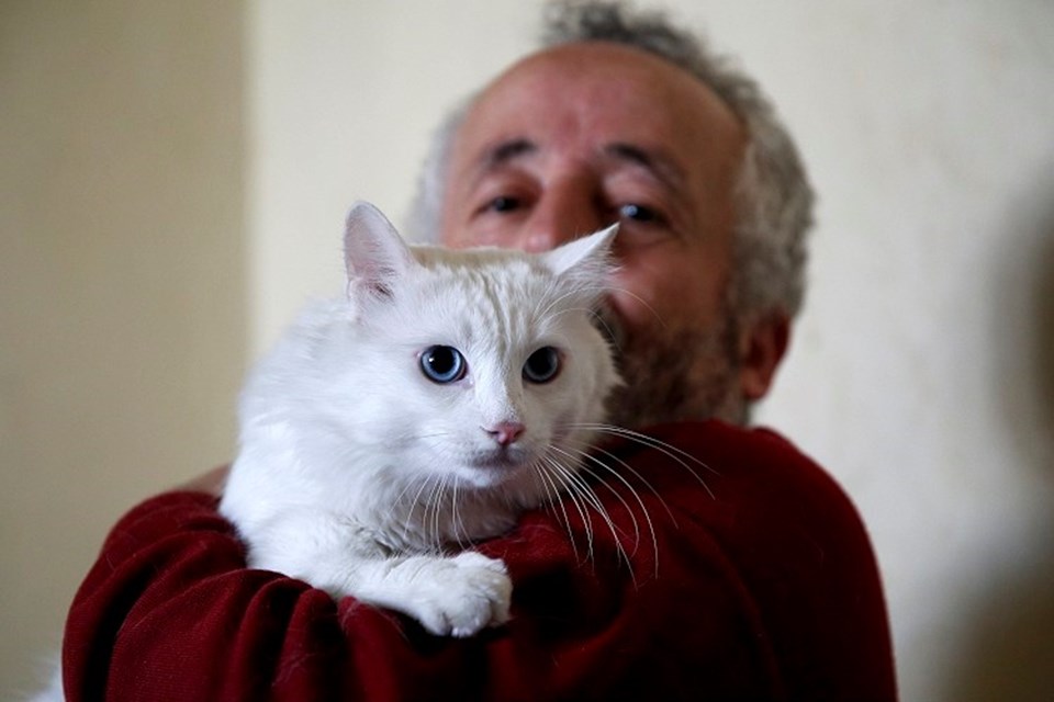 Van kedisini sahiplenmek için Çin'den Türkiye'ye geldi - 2