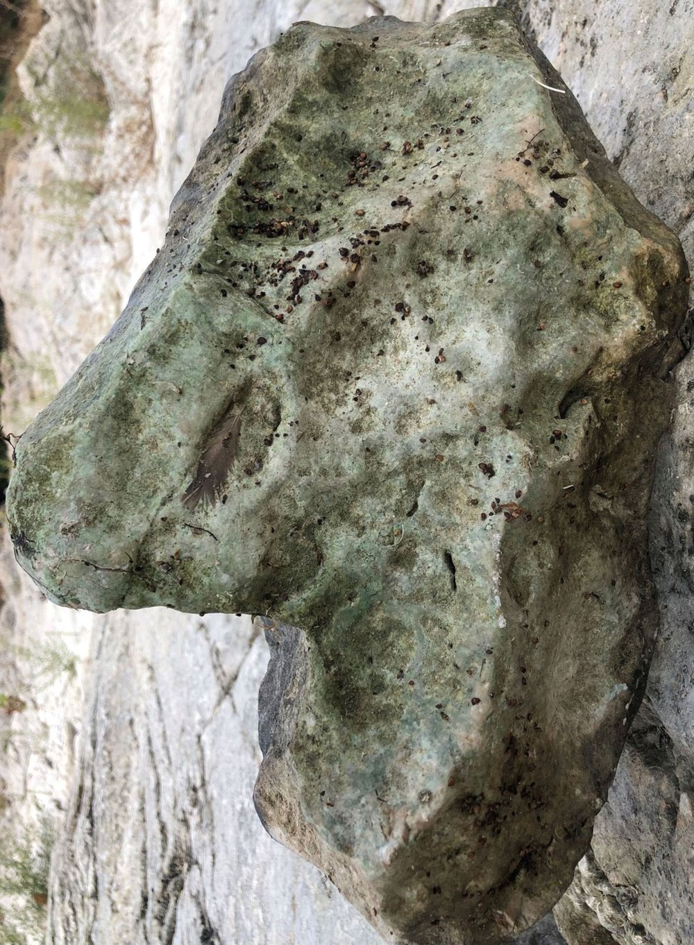 Eğirdir'de sular çekildi, fosil adacıklar oluştu - 7