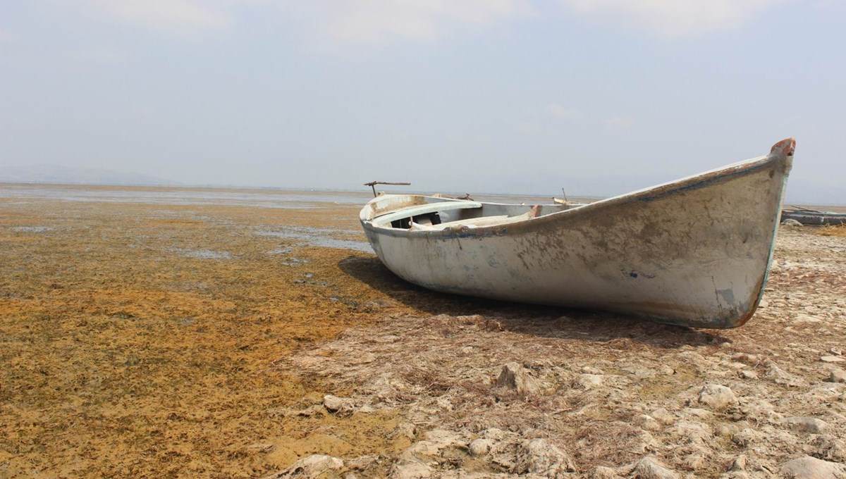 Marmara'da göl suları çekildi: İzinsiz tarıma para cezası