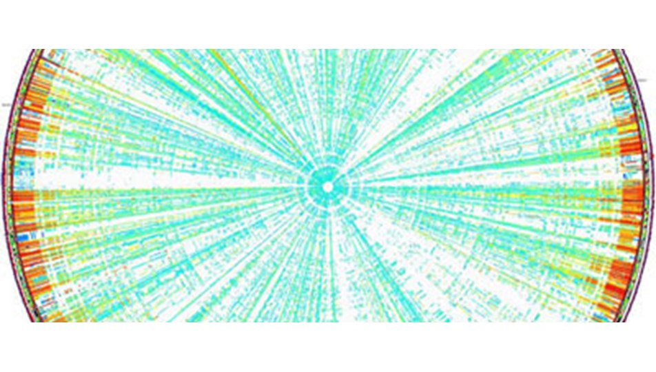 Aile Boyu Gen Haritasi Cikarildi Ntv