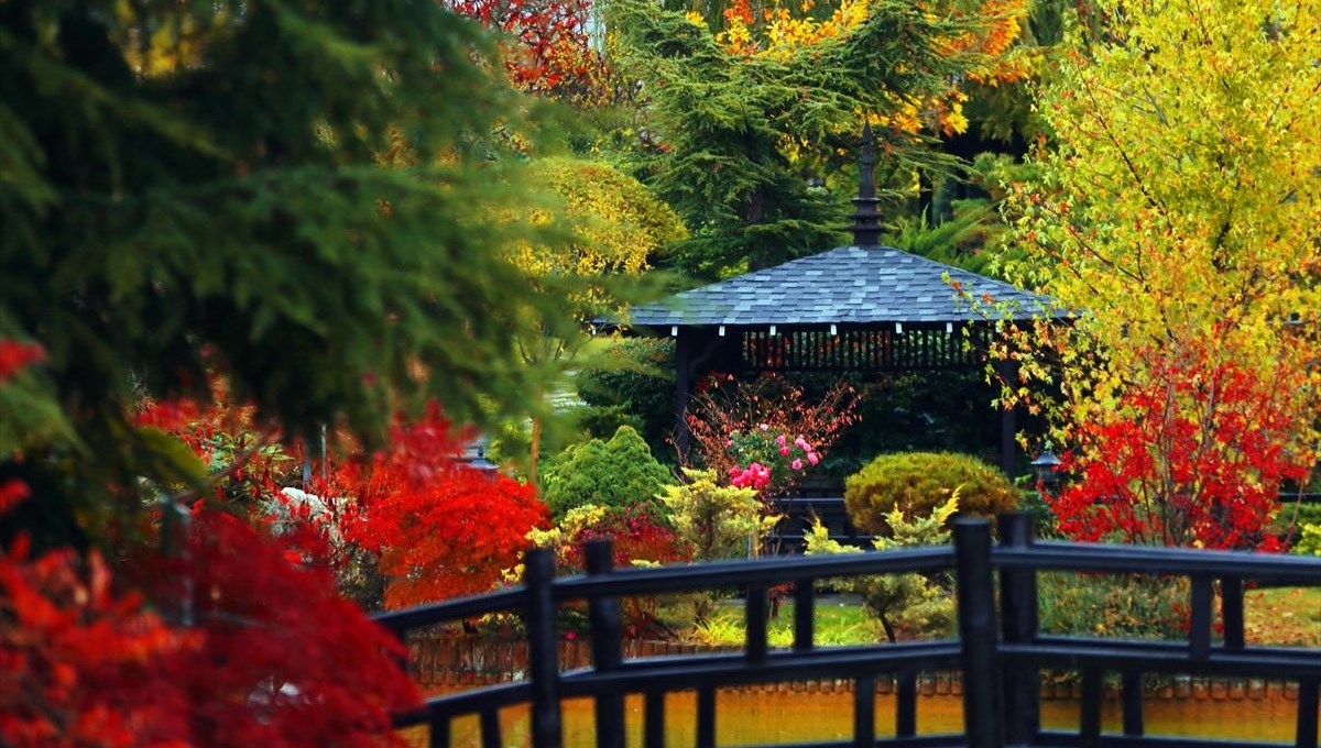 Konya'daki Japon Kyoto Parkı sonbahar renklerine büründü