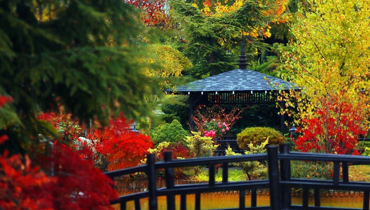 Konya'daki Japon Kyoto Parkı sonbahar renklerine büründü Konya'daki Japon Kyoto Parkı sonbahar renklerine büründü