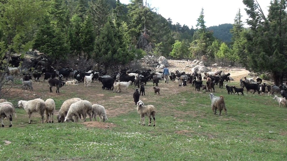 Yörüklerin yüzyıllardır değişmeyen iftar geleneği - 9