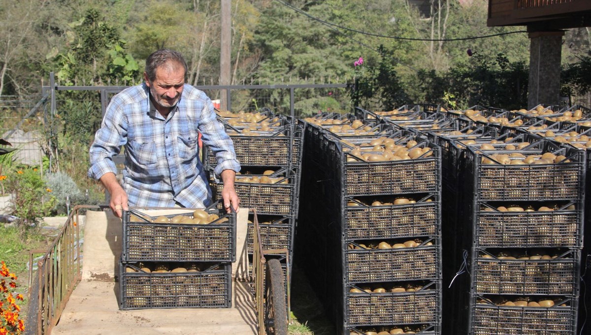 Hobi olarak üretimine başlandı! Şimdi yıllık 300 milyon TL gelir bekleniyor