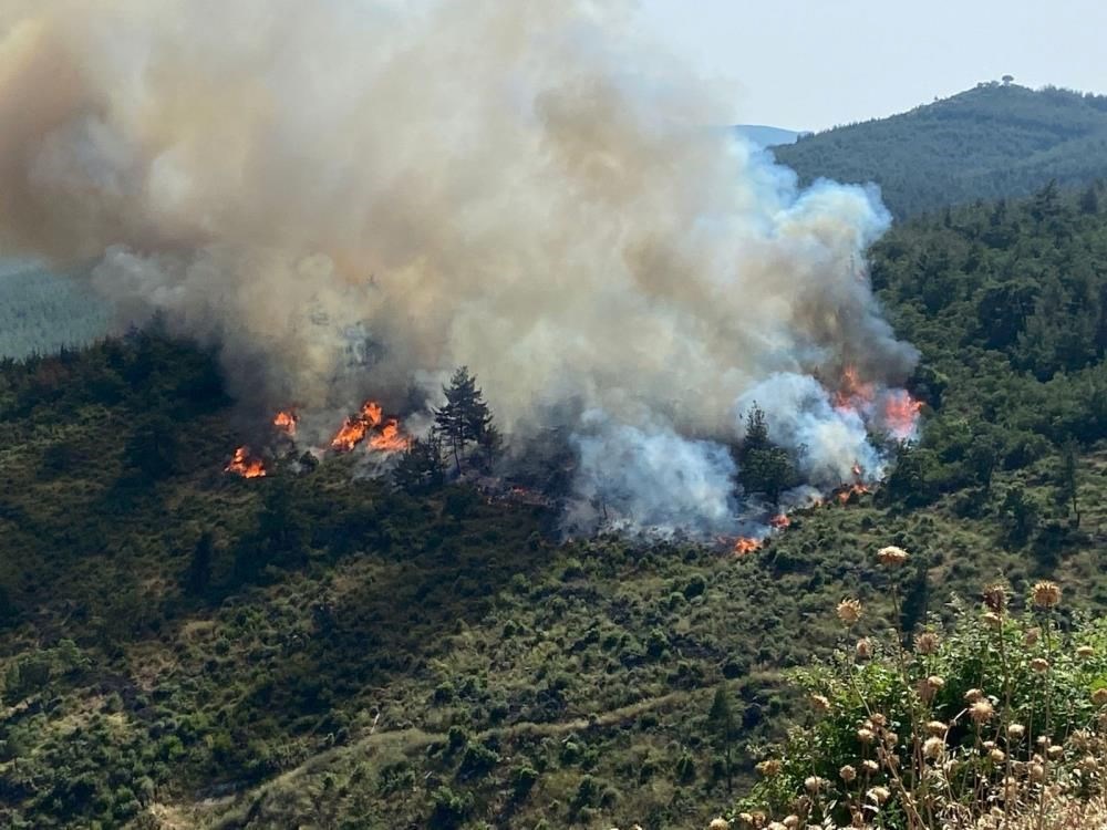 İzmir, Muğla, Balıkesir ve Kahramanmaraş’ta orman yangınları (Alevlerle mücadele sürüyor) - 11