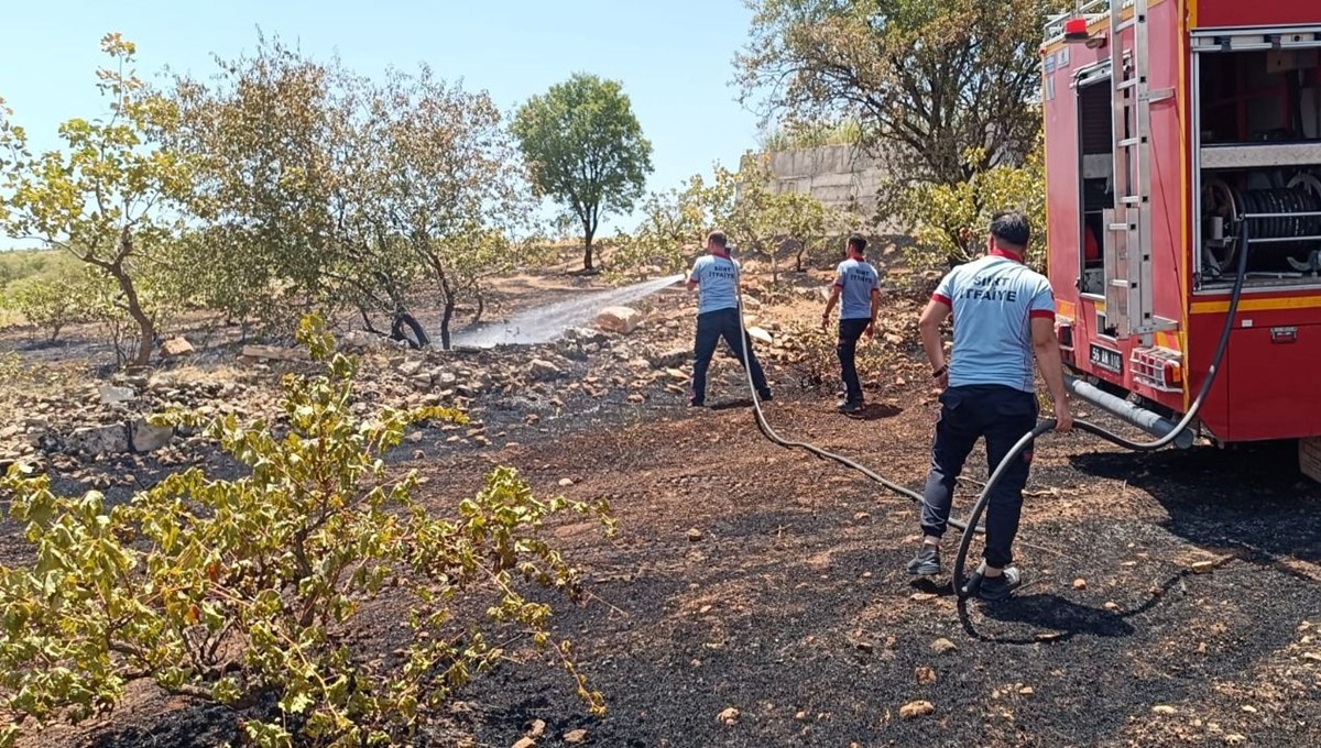 Siirt'te fıstık bahçesinde yangın: 50 ağaç yandı