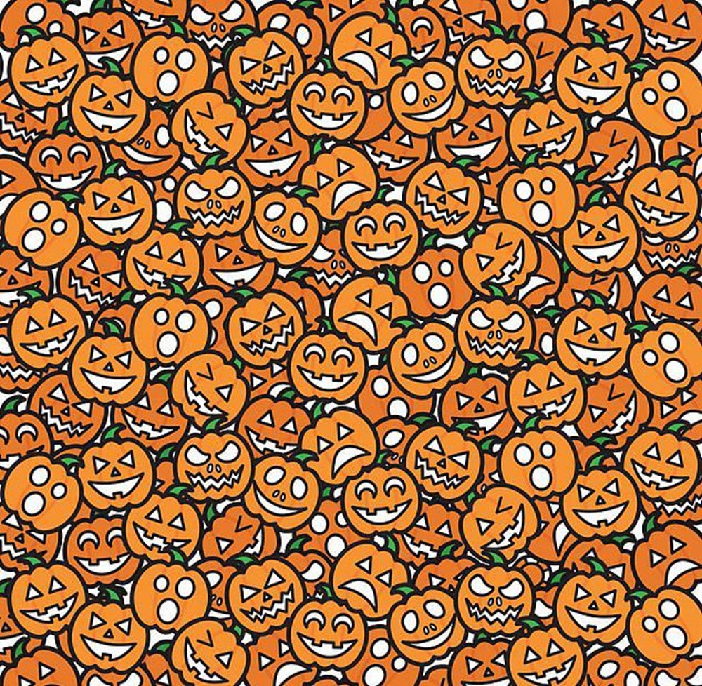 Bu görsel size kim olduğunuzu söylüyor: Resimde ilk önce hangi hayvanı gördünüz? - 48