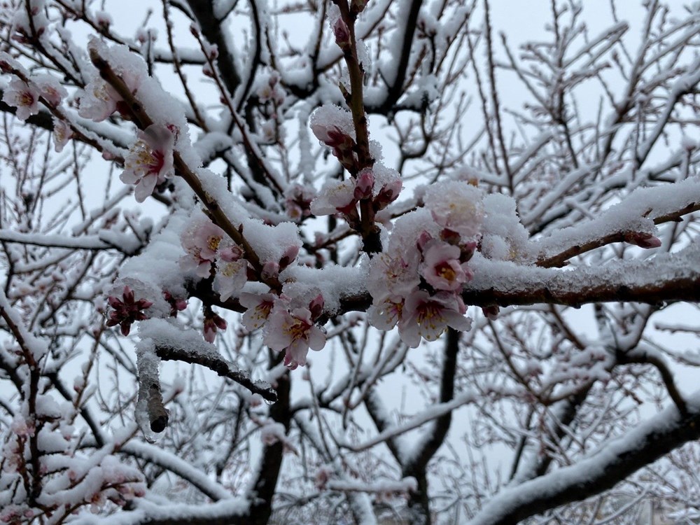 Türkiye soğuk havanın etkisinde: Birçok ilde kar yağışı var - 21