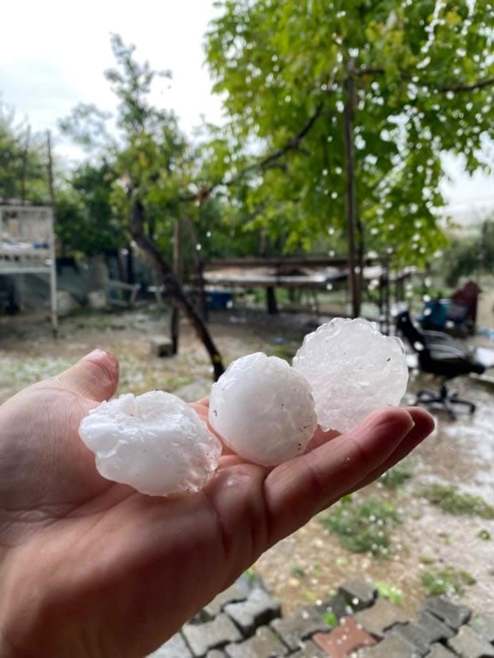 Şanlıurfa'da kar topu büyüklüğünde dolu yağdı - 2