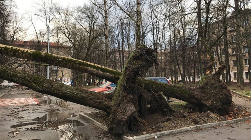 Moskova'da fırtına: 1 ölü, 17 yaralı - 1