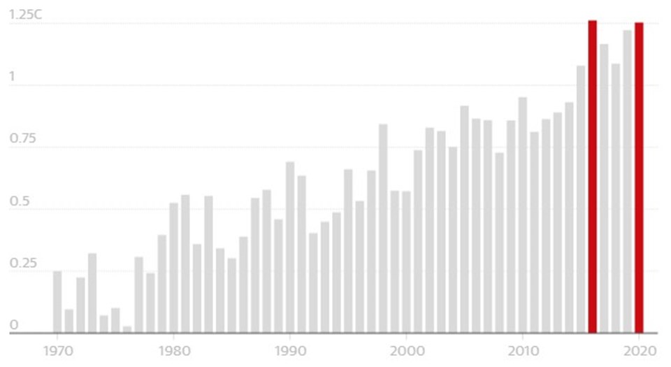 2020, en sıcak yıl olarak tarihe geçti - 1