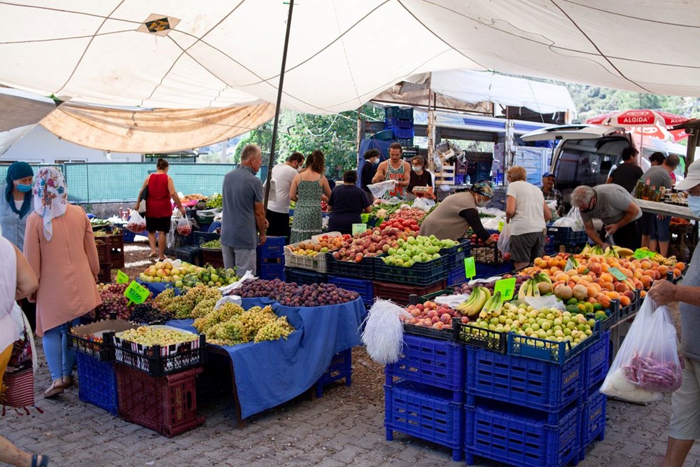 Kur’an-ı Kerim’de adı geçen cennet meyvesi: Bir tanesinde binbir şifa var - 2