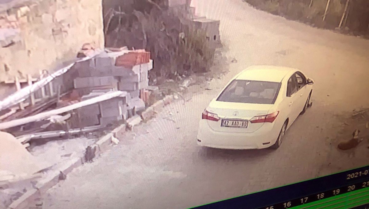 Konya'da yavru köpeği ezen sürücü yoluna devam etti