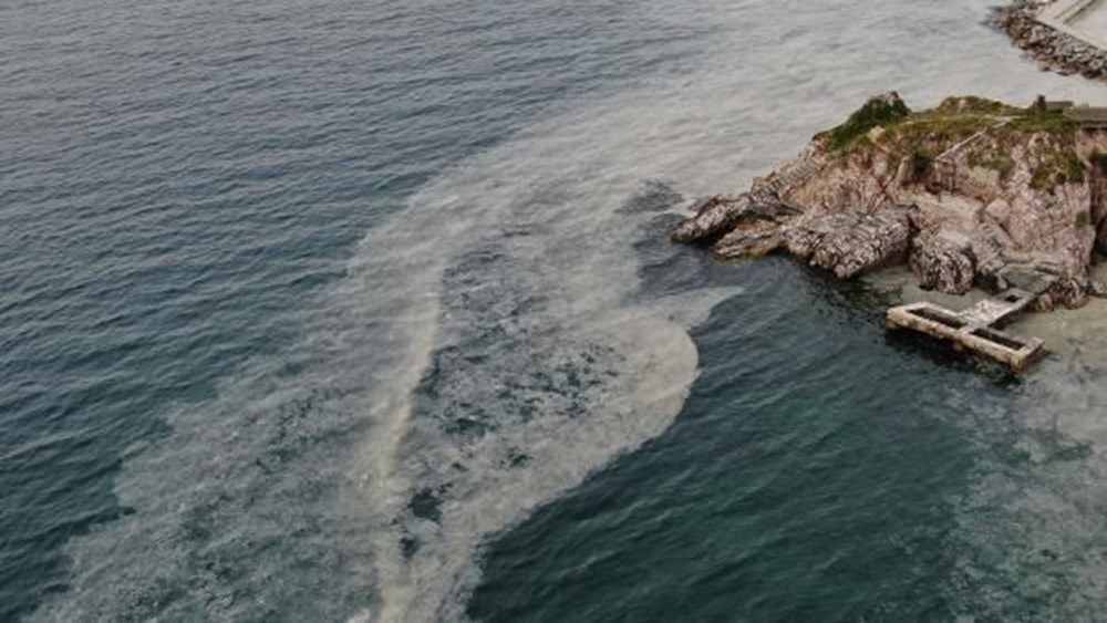 Büyükada'yı 'salya' sardı - 3