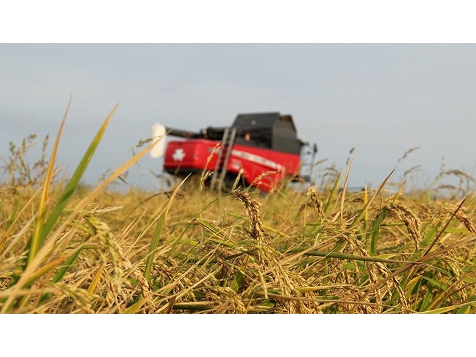 Tarımsal amaçlı örgütler derecelendirilecek
