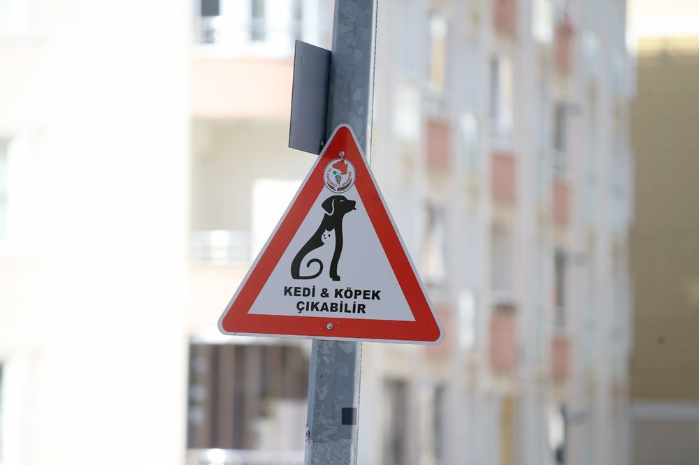 Kırklareli'nde sürücüler 'kedi-köpek çıkabilir' tabelalarıyla uyarılıyor - 2
