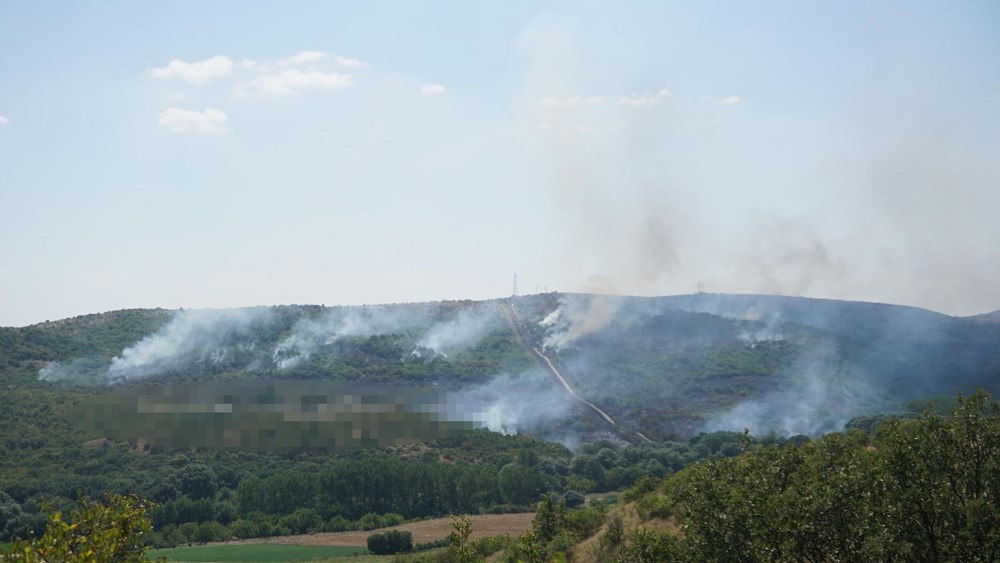 Edirne, Adana ve Kahramanmaraş’ta orman yangını (Havadan ve karadanmüdahale ediliyor) - 1