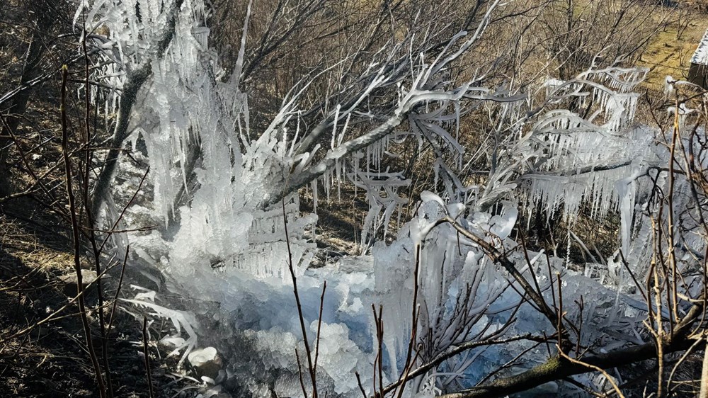 Bir ilde hava sıcaklığı eksi 10 dereceye düştü: Ağaçlarda buz sarkıtları oluştu - 3