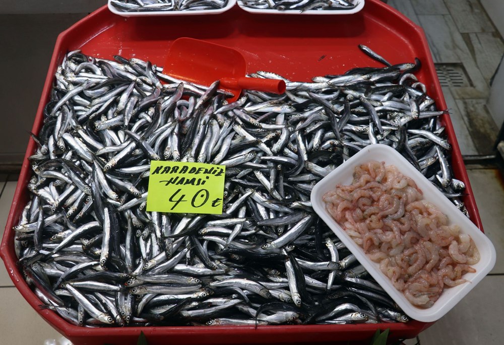 Çanakkale’de havalar ısındı balık tezgahları doldu, fiyat düştü - 6