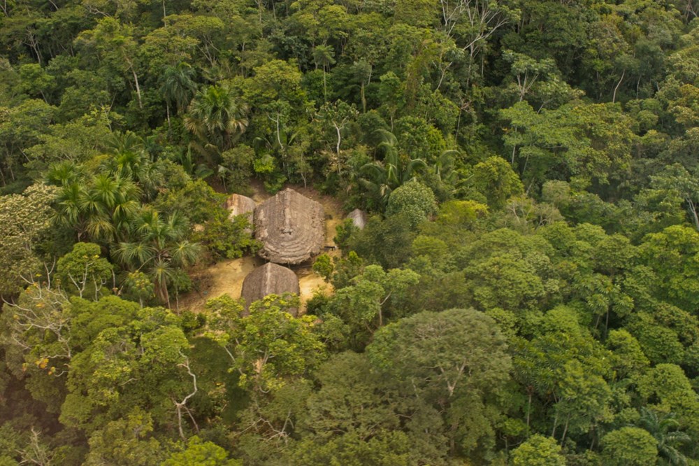 Amazon'daki ormansızlaşma salgın döneminde artış gösterdi - 5
