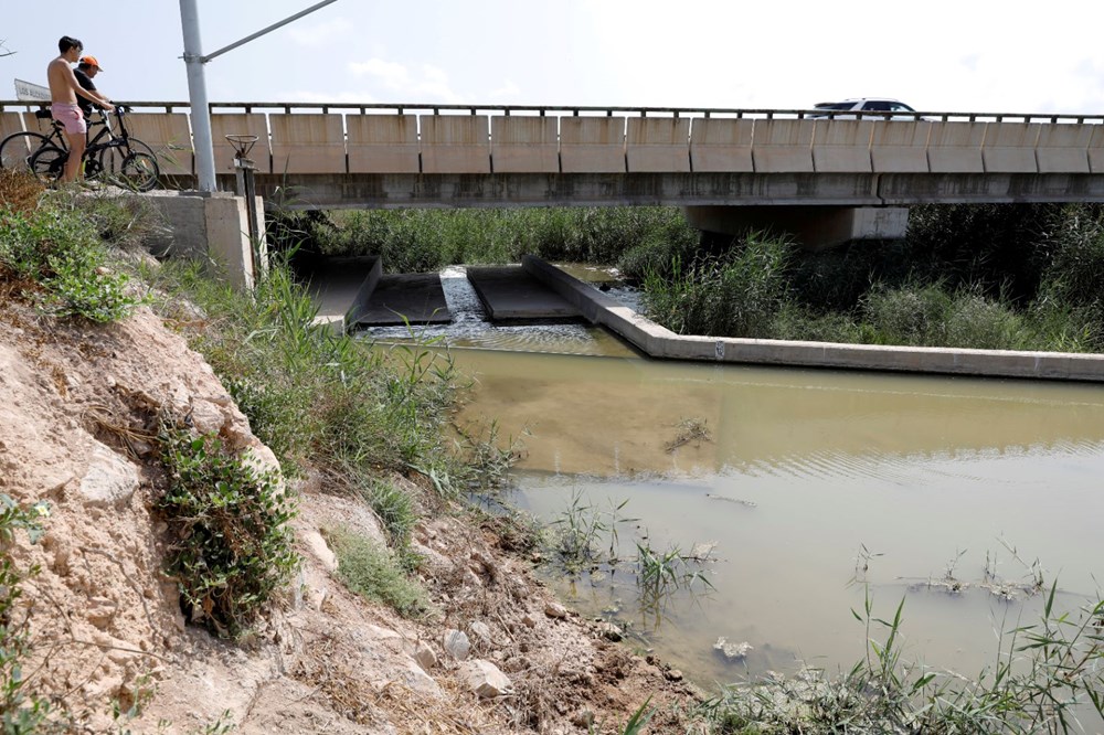 İspanya'nın Mar Menor kıyılarında tonlarca balık öldü - 11