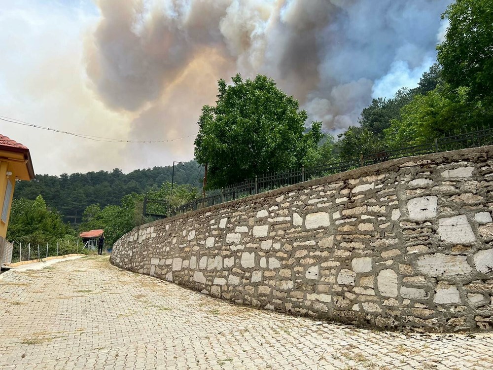 Muğla, Balıkesir ve Denizli'de 4 noktada orman yangını: Havadan ve
karadan müdahale sürüyor - 5