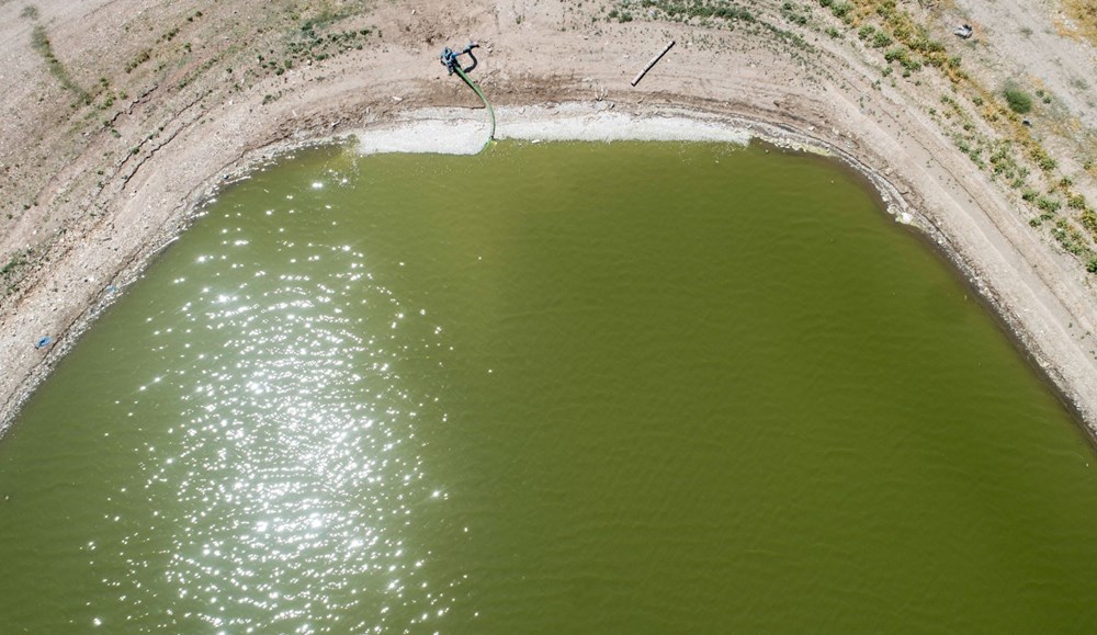 May Barajı'nda korkutan görüntü: Sular çekildi, binlerce balık telef oldu - 13