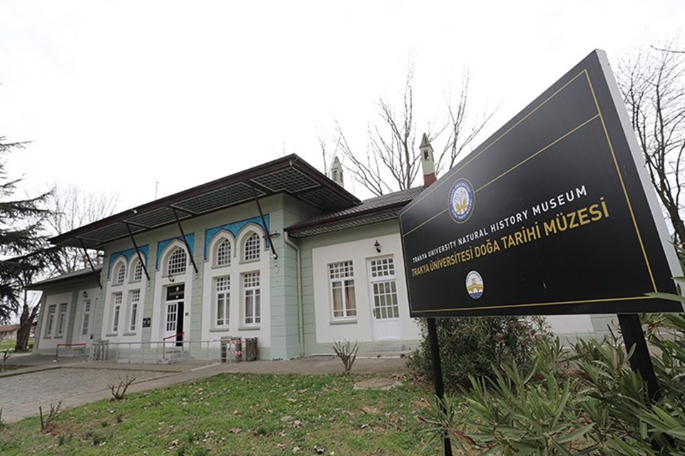 Trakya Üniversitesi Doğa Tarihi Müzesi'ne gelenleri "imparator kelebeği" karşılıyor - 1
