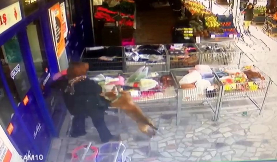 Ankara'da 2,5 yaşındaki kıza pitbull saldırdı - 2