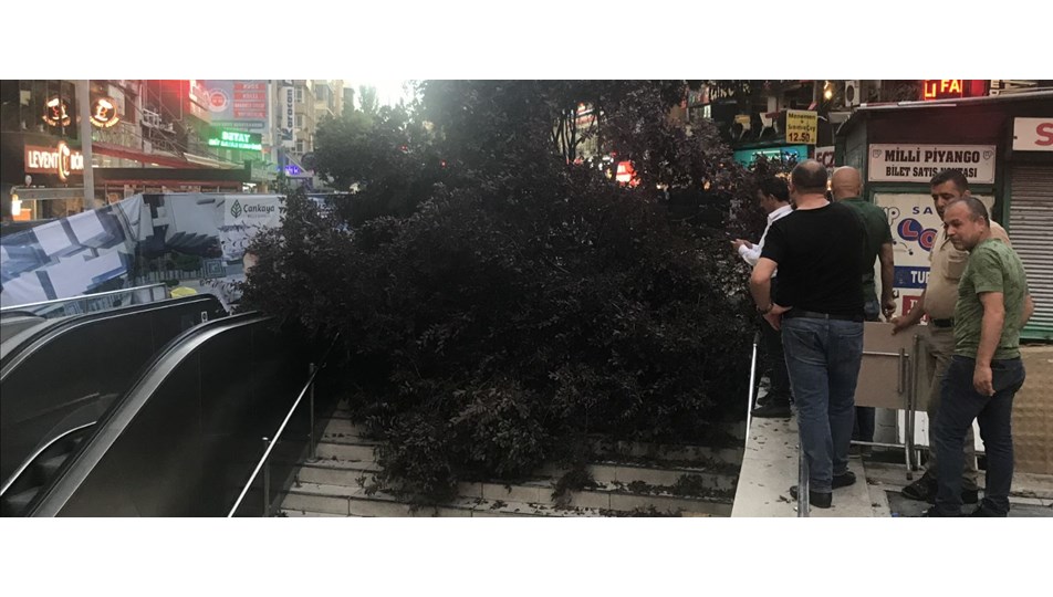 Kızılay metro çıkışında ağaç devrildi: 3 yaralı