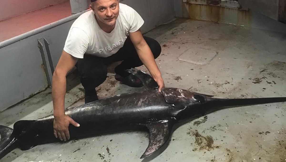 İstanbul Boğazı'nda balıkçıların ağına 60 yıl sonra kılıç balığı takıldı