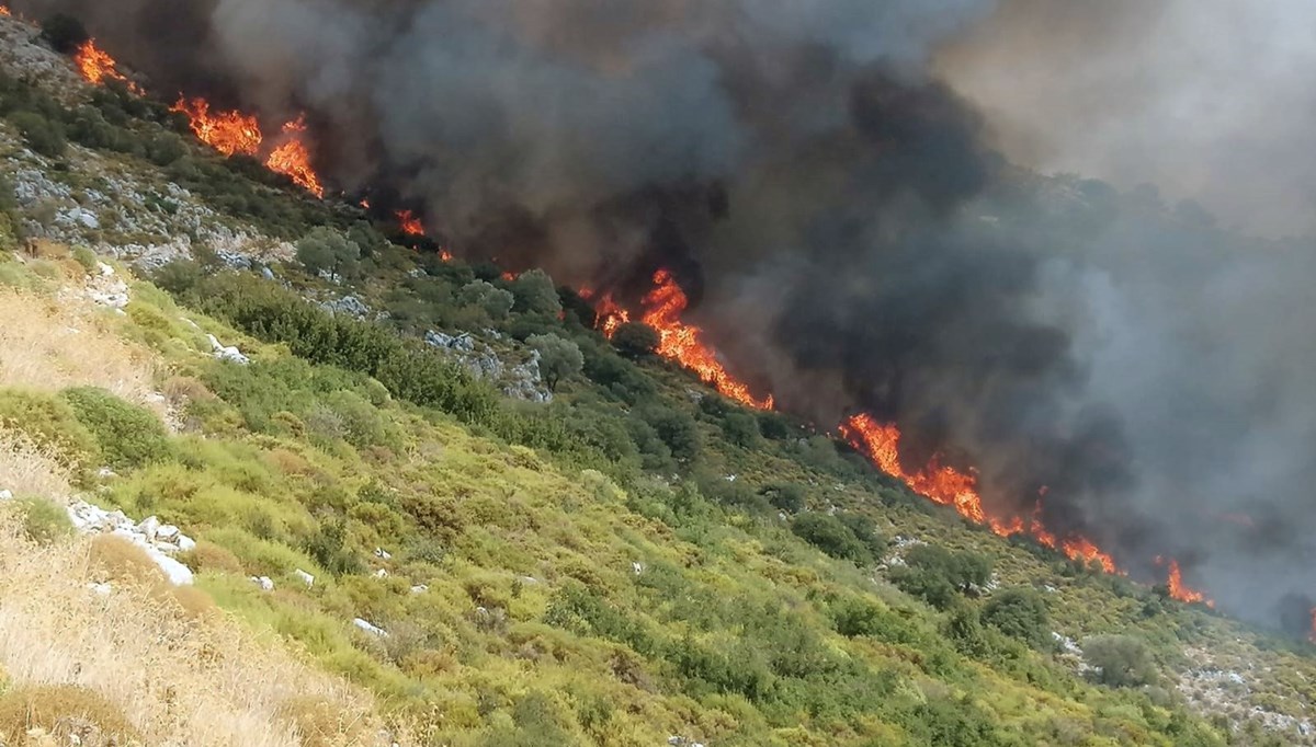 Muğla'da makilik alanda yangın