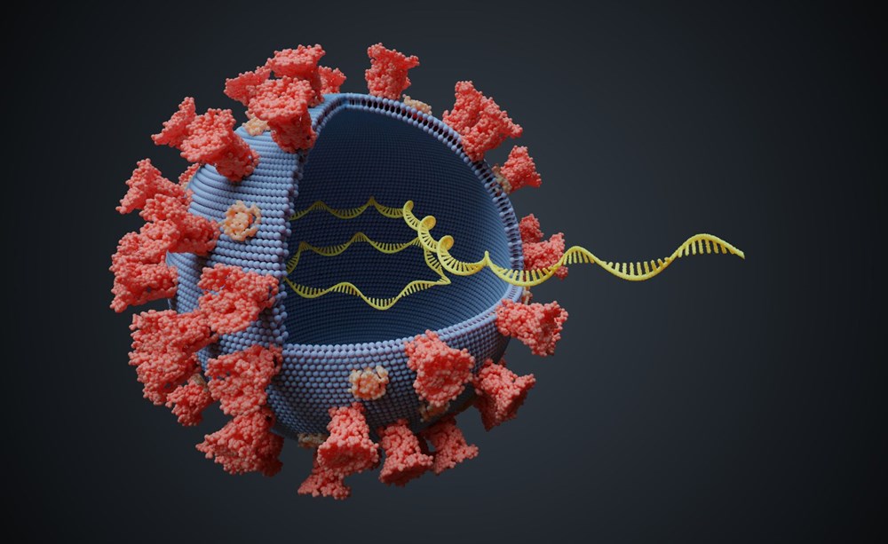 mRNA aşıları vücudun DNA'sını bozar mı? Covid-19 aşılarıyla ilgili efsaneler ve doğruları - 12