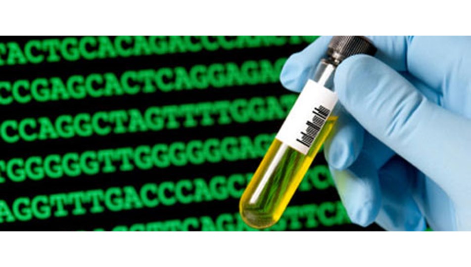İnsan genetiğinin püf noktaları ortaya çıktı
