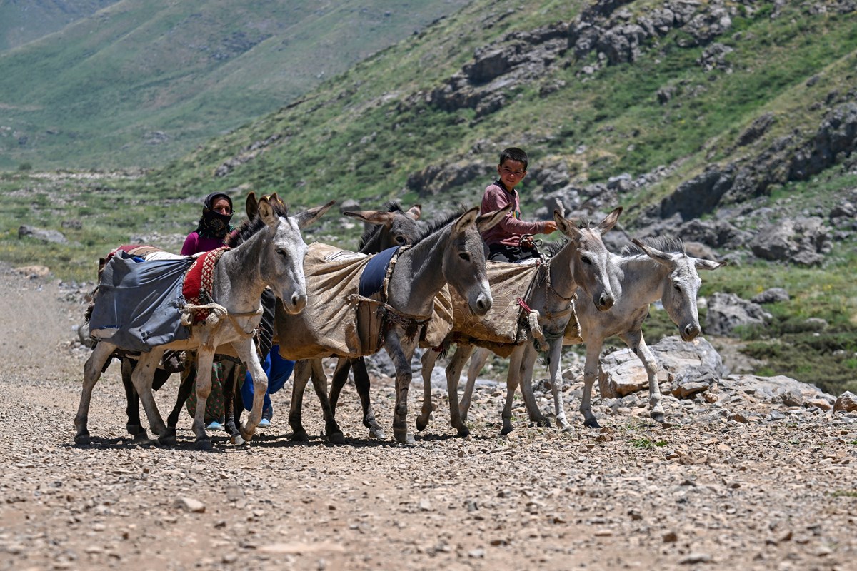 Çukurca ev sahipliği yaptığı festivalle şenlendi