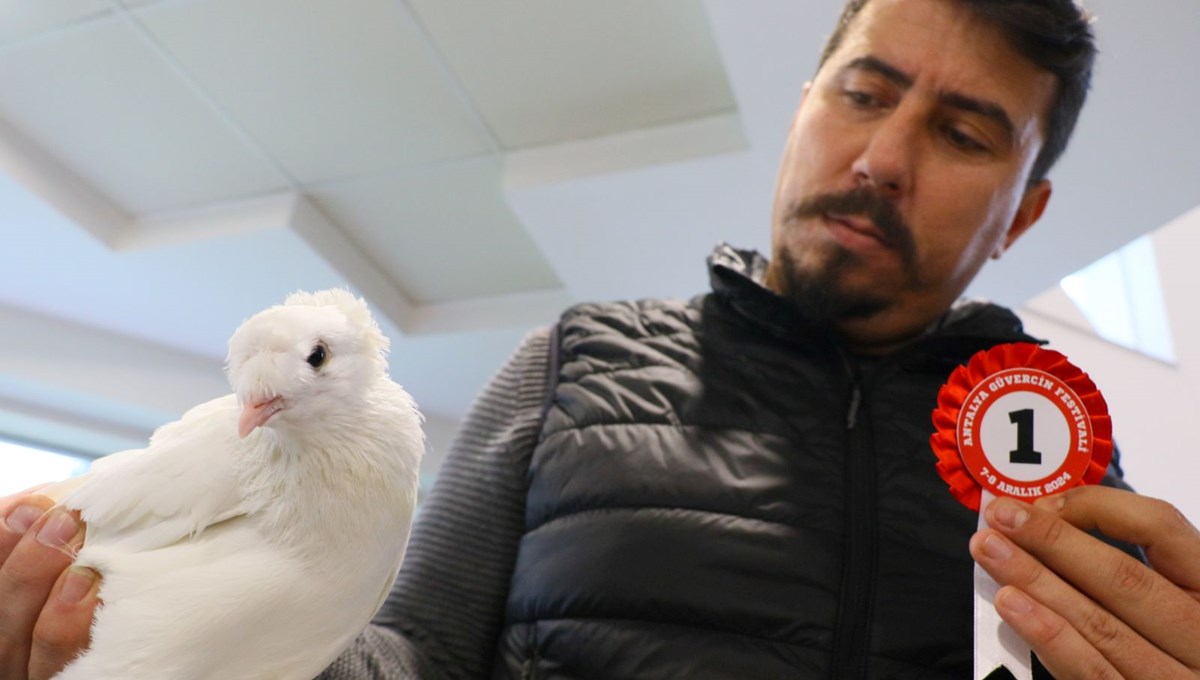 Değeri 500 bin TL ile 1 milyon arasında değişiyor: Ne teklif etseler de bu kuşu vermem