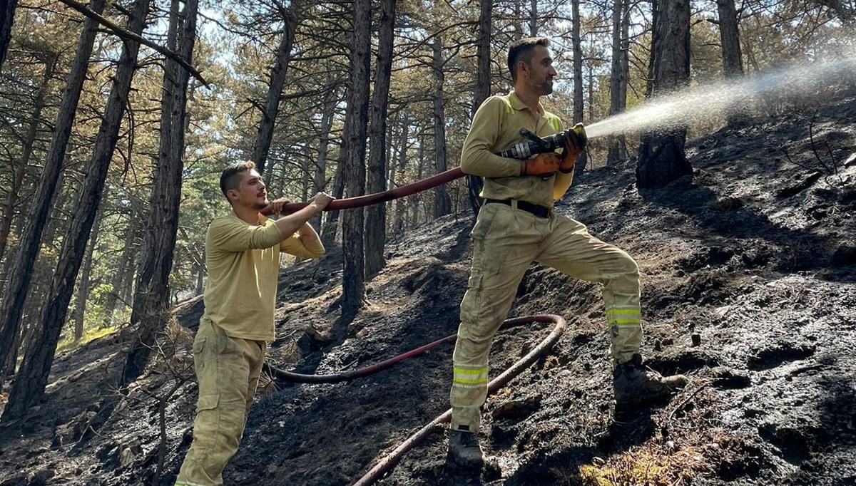 Karabük'teki orman yangını: 12 hektar zarar gördü